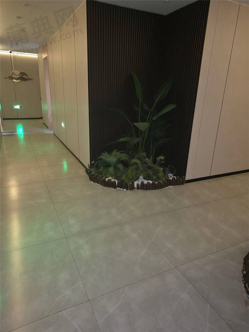 环境
